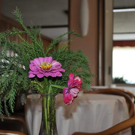 Hotell Hotel Premeno